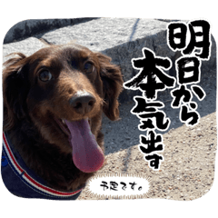 hana_20230816132857