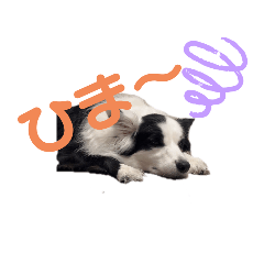 39_20230816111905