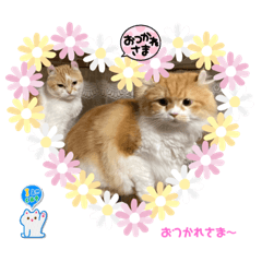 yukari_20230816151045