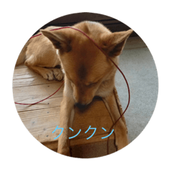Kana_20230816180304