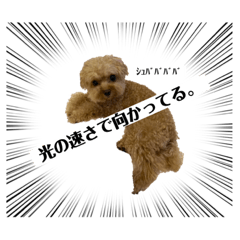 suzu_20230816161623