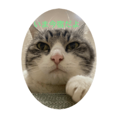 muneco_20230816230503