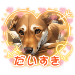 minorin_20230816233606