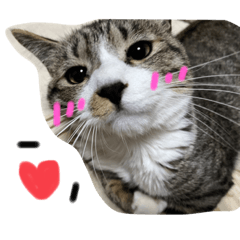 suzu_20230816215411