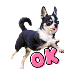 yukari_20230816232248