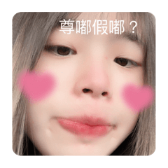 晚晚貼圖2.0