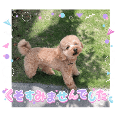 aoi_20230817105653
