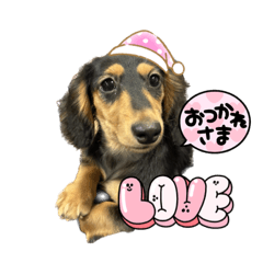 yuto_20230817123314