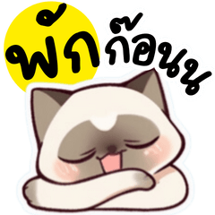 Funny Cat Tau-Teung Big Stickers