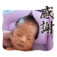 KOSUKE_20230816203312