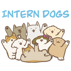Intern Dogs