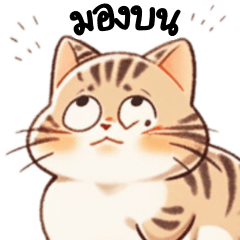 Cute Chubby Cat Tau-Teung Big Stickers