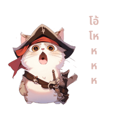 pirate cat cute 1
