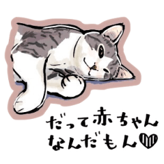 Gray cat cute sticker