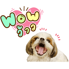 Beitoey ka