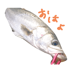 Hi_20230817140213