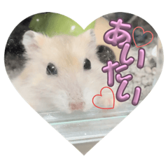 junko_20230817124308