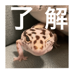 hana_20230817165654