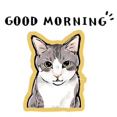 Gray cat cute sticker English version