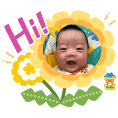 金元寶貼圖