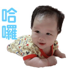 小多多的貼圖