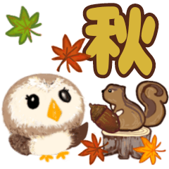 Fluffy owl  Autumn  every day