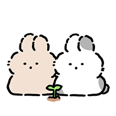 Fluffy baby rabbits