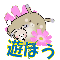 Rabbit Hana-chan and Momo-chan 13