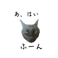 nov_20230817