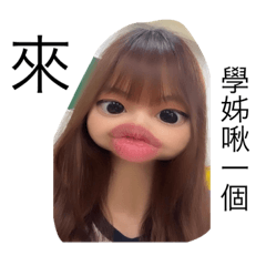 N7的朋友—鼠憨