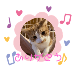 AOi_20230817192621