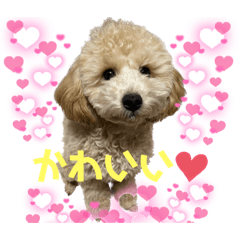 Natsumi_20230818000713