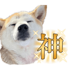 tsubaki_20230817232643