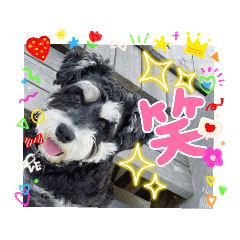nao_20230818103539