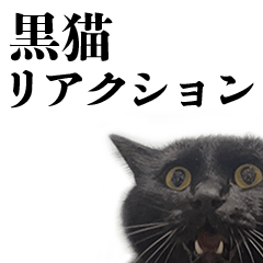 Black cat - TASO- reaction