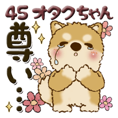 柴犬・ちゃちゃ丸 45『オタクちゃん』