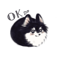 free & cute dog