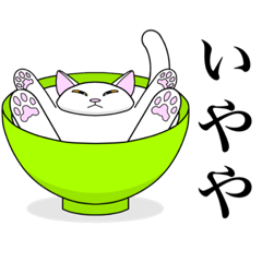 関西弁を使う否定的な猫