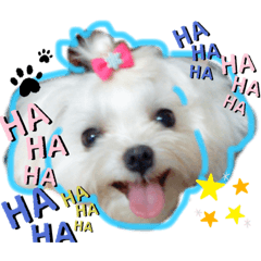 瑪爾濟斯是張多多，看見你就開心^^