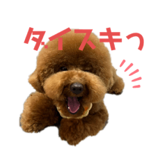 もんたぁくん - LINE スタンプ | LINE STORE