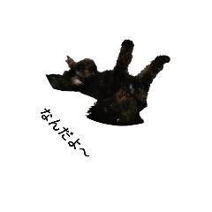 jinjin_20230818191818