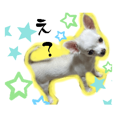 arisa_20230818164443