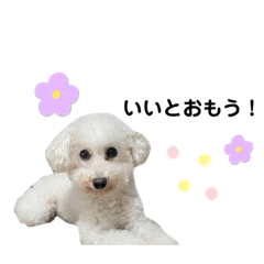 comugi_20230818222401