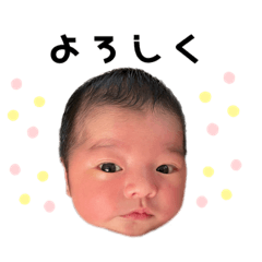 aoi_20230818230311