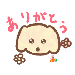 koto_20230818195220