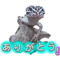 Suzu_20230818221502