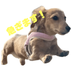 tanaka_20230818225027