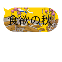 Yuto_20230819111421