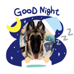 Lucas dog