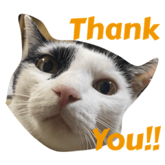 naaagi_20230819142142